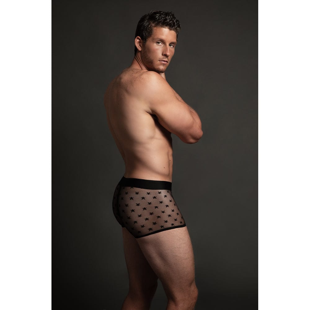 ALLURE LINGERIE MENS THONG ALR-L001-L/XL